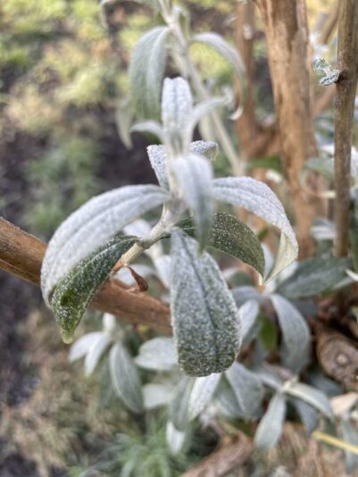 4277AA9A-43BA-424C-BC76-A2F665D34BB5