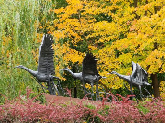 465463486_2577050629147369_1245615640700960539_n