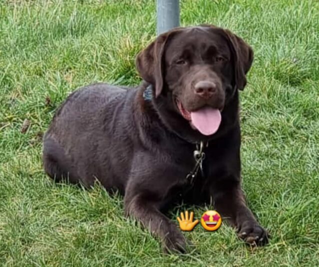 Screenshot_20230319_093500_WhatsApp