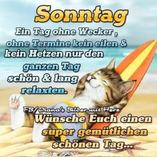 289043490_755760518899818_1404068409627265066_n (1)