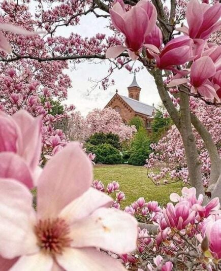 164625373_3787992581255758_3814702998687978349_n