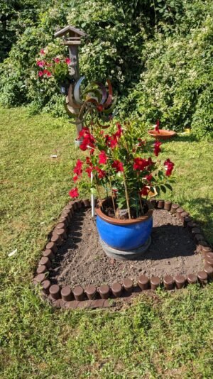 PXL_20230718_081849700