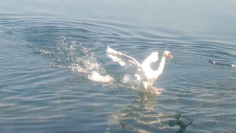 IMG_20200913_134013244