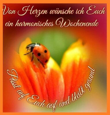 95938051_1612404978925799_6544192697698091008_n