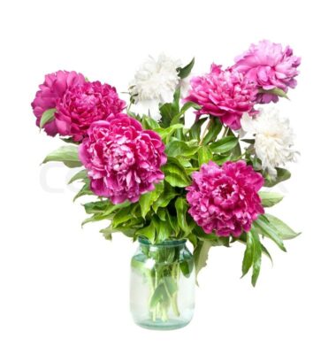 800px_COLOURBOX1787977