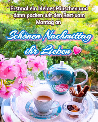 291866974_610286553988386_8000135901138386329_n