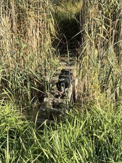 30FE766A-7FB7-485B-B63F-2251F5B4BAC0