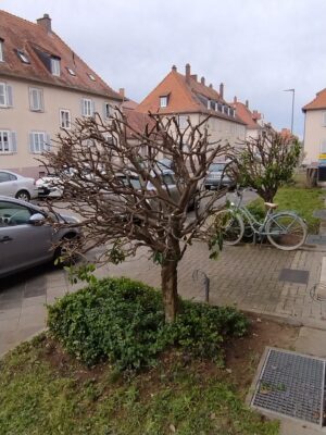 IMG_20250224_141458735