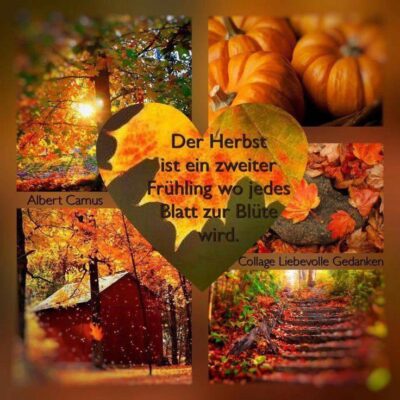 IMG_5091.JPG Der Hetbst