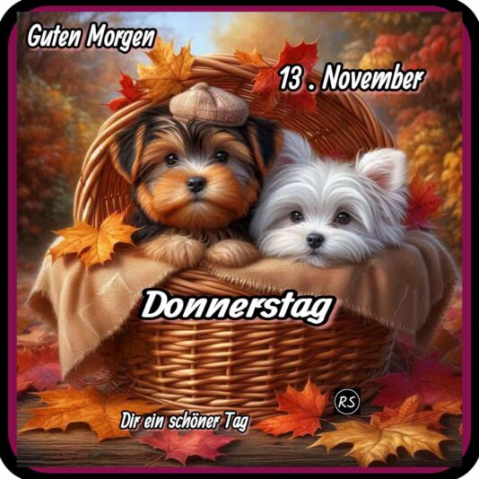 581396611_2230530827435862_4682549816316456127_n (1)