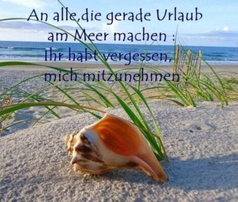 3bc983dfc3739c0e0e9134eb6ce47b8a