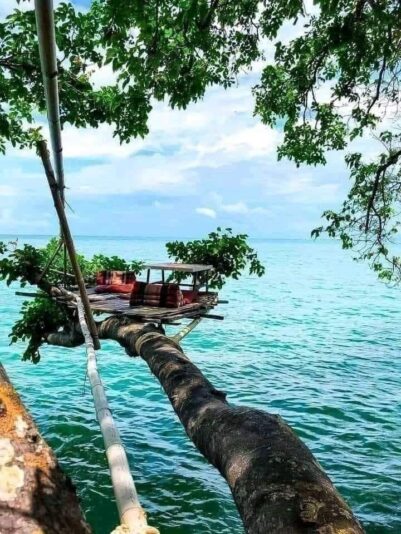 203606131_899559733960025_4710931722469949029_n