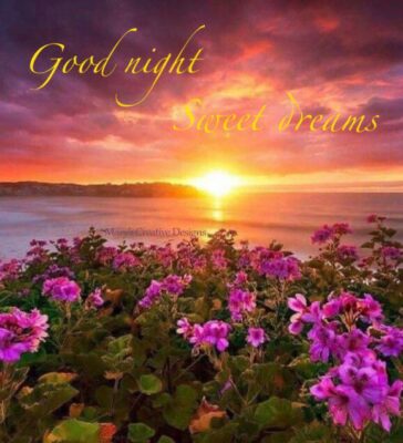 119506360_2720707631500370_6405409402240890089_n-2