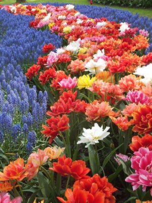 278258745_3167438416827287_8382423599906184975_n