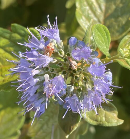 300A579F-7CE5-49B8-97DF-BA5BC9EA1058