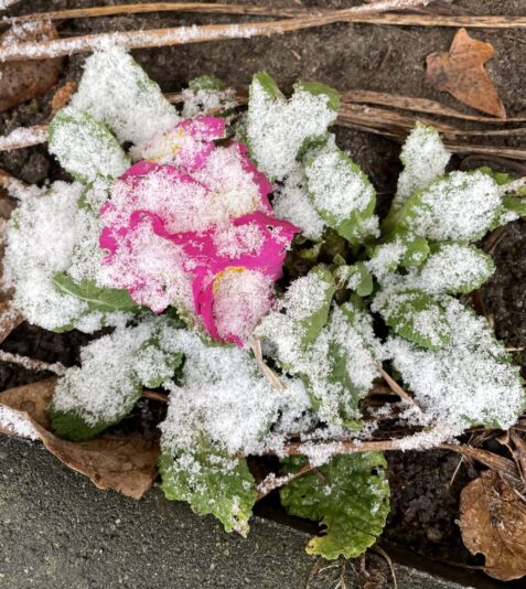 6C374F96-FB1D-42EE-ADB9-AD7C0DAC42EC