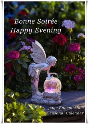 15022645-gartengeräte-und-einen-strohhut-auf-dem-rasen-im-garten