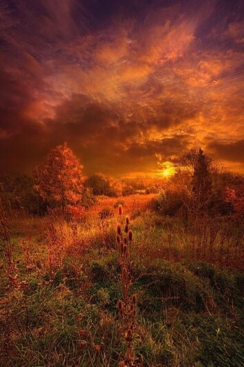 117684854_3147823352002444_2498954054256471526_n (1)