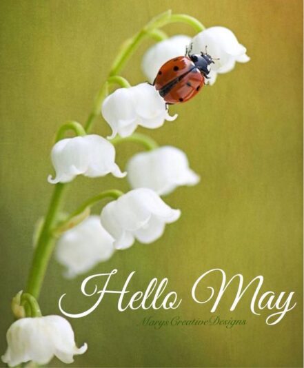 179361421_2897741787130286_2350888583603955873_n