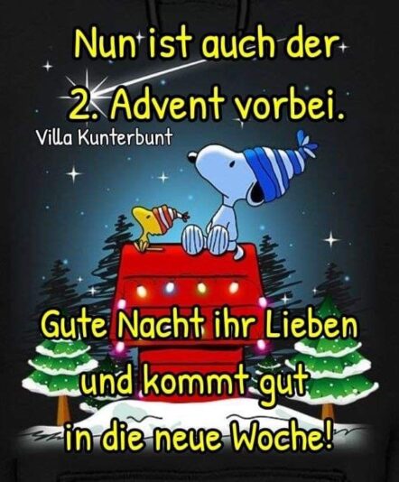 8cfcbe49b21d73799c18484933c55350