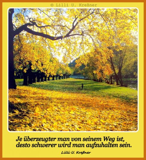 310389759_638009201214789_4416216606826257174_n