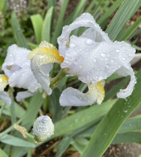 EDF1B9E4-0107-4C8A-AA5C-7D1CEDB3F74B