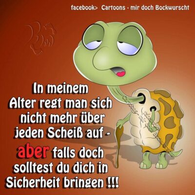 10590601_609529805824540_3729607044383508365_n