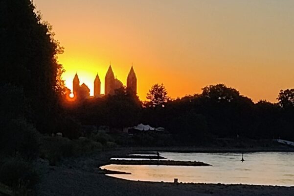 IMG_20220803_204834572_MP