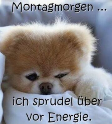 Screenshot_20251208_072926_Google