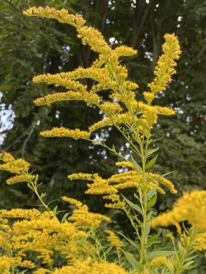 D9F2A113-3B04-4C4A-9365-F1DDAA22FF54