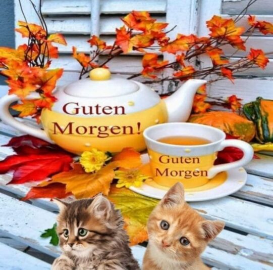 420419440_1403508767710148_2336400736755530205_n