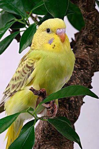 278333864_3176549109249551_2463944468927634767_n