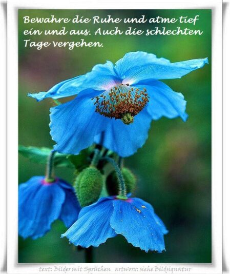 311648317_481320437355761_7536225985580112998_n