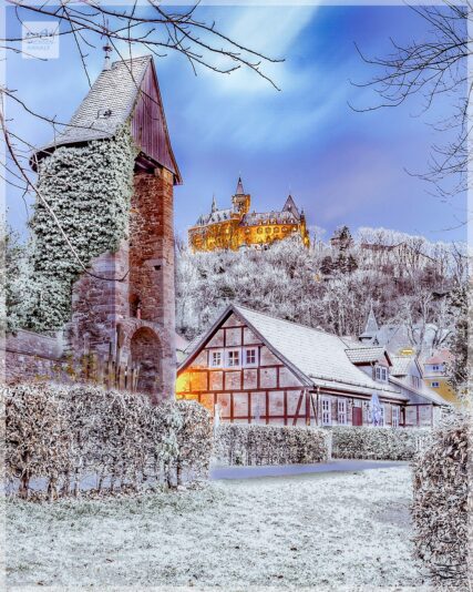 265230349_4543931532322827_2342951996445420037_n