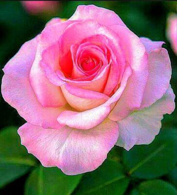 9faefc570612790bffb1d376c1baf44b