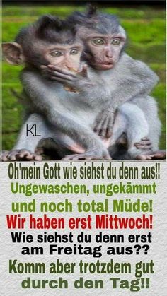 98c0e101869b736a11f84c8e9412b8c3