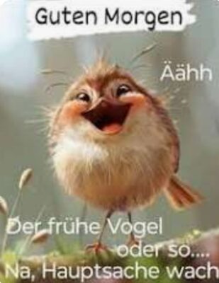 Gallery_1758652532647