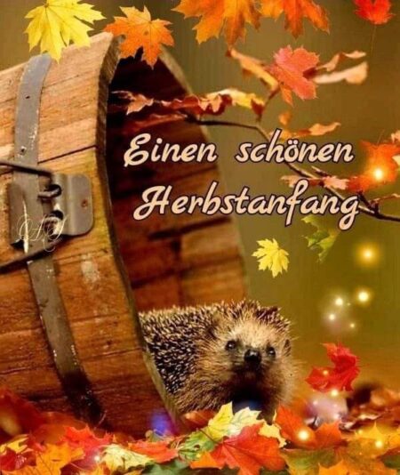 307548635_1181736902408972_616649716178464834_n (2)