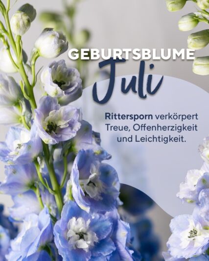 IMG_4571.JPG Juli 24