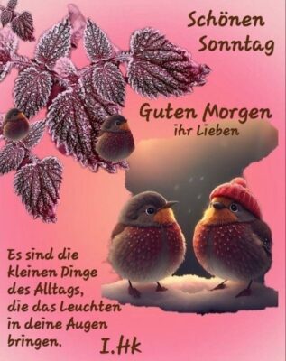 421274371_2319103648299342_4050998935060472901_n (1).jpg 2