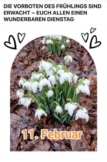 IMG_6931.JPG 11.2.25