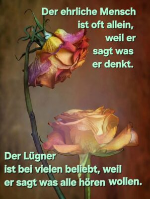 FB_IMG_1758270535624