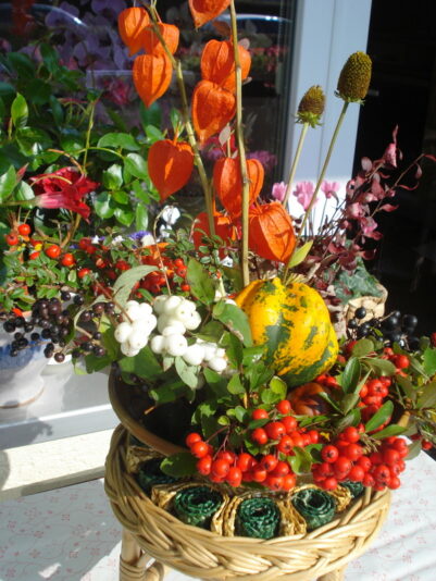 Herbstzeit - unterwegs geschnitten.