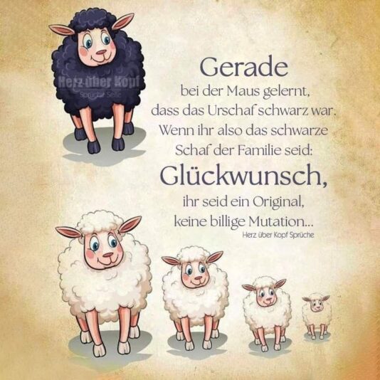 7d05a42881a1d0fad4f47a4142506b1f