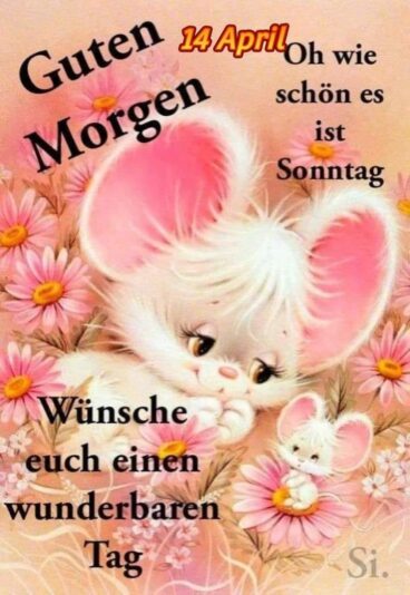 437887434_944521160715064_5948768792250390978_n (4)