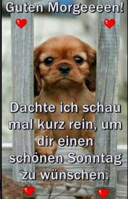 Gallery_1754793390557