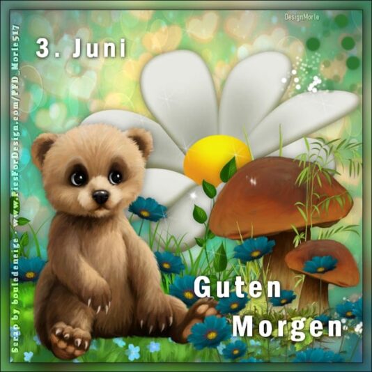 447737232_7672250572866451_6799583549096967654_n (2)