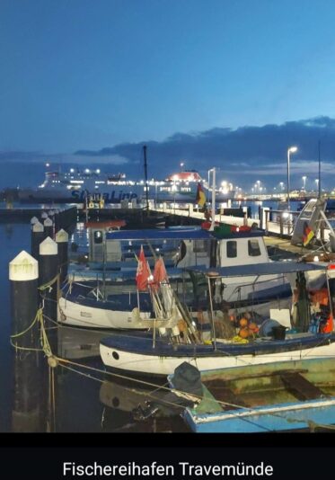 Screenshot_20251125_174137_Gallery