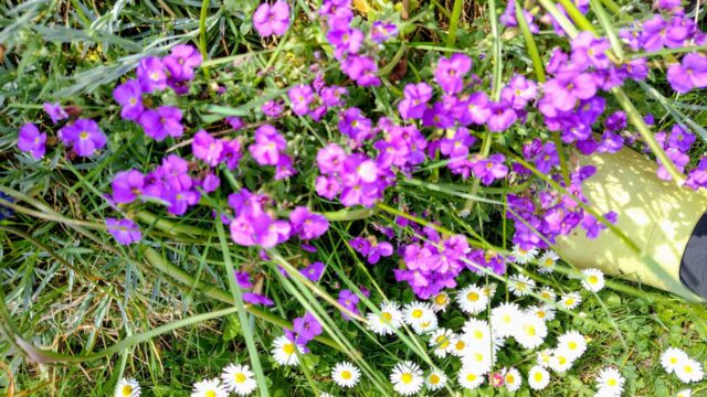 IMG_20250419_150804385