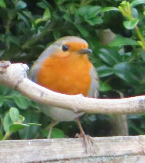 20230330091402_IMG_6372